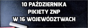 znp.pikiety.w.16.województwach.logo.10.10.2016